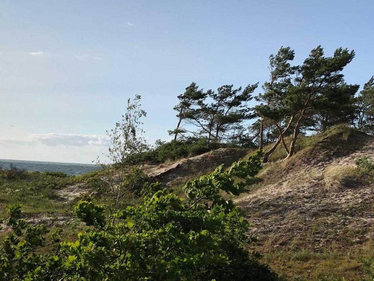 Haus Kranich Im Duenenwald 300M Zum Strand Dierhagen Exteriör bild